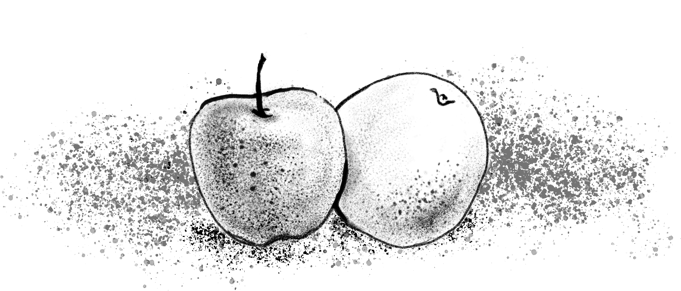 The Best Time Tracking Apps for Freelancers in 2026